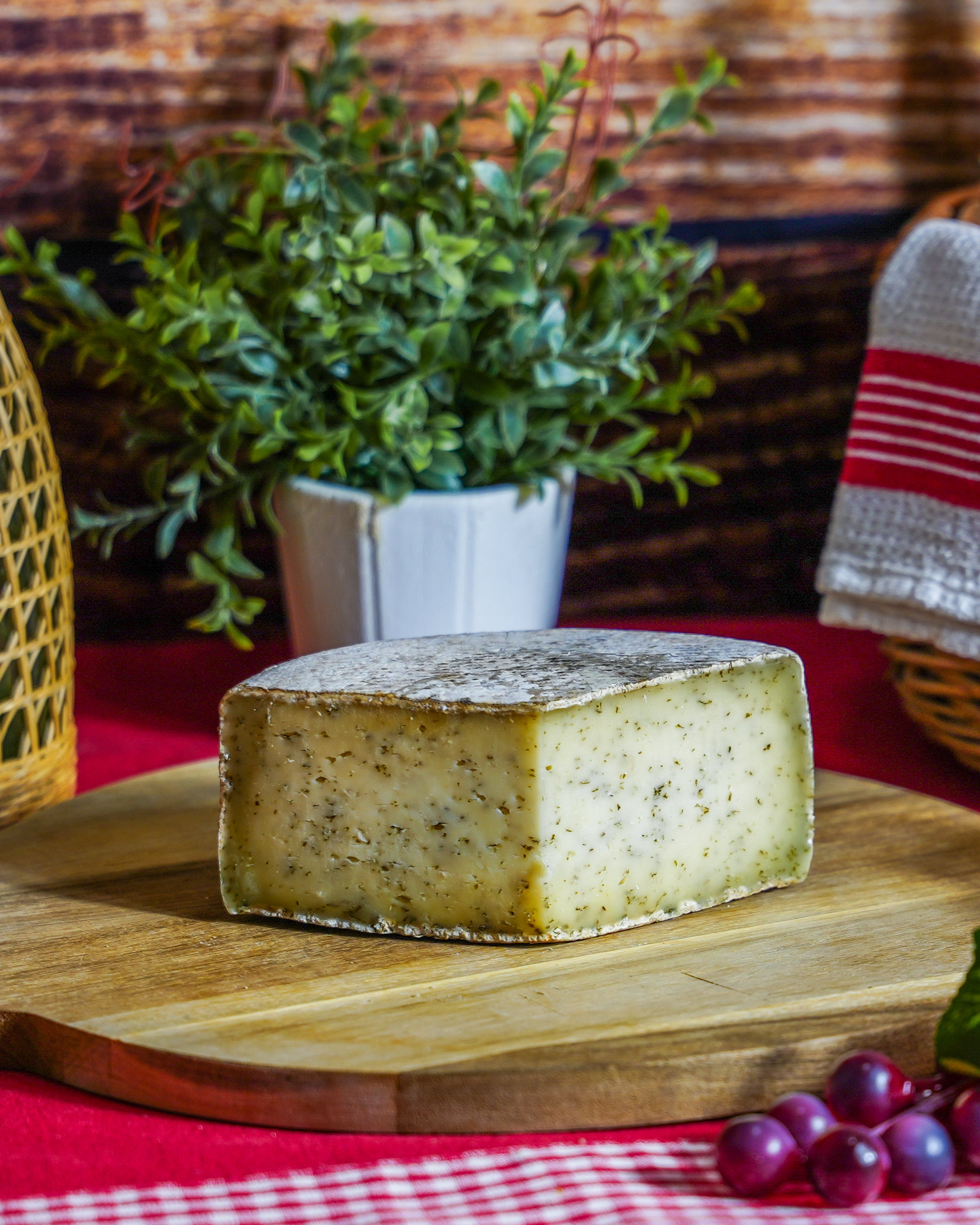 Tomme ail des ours