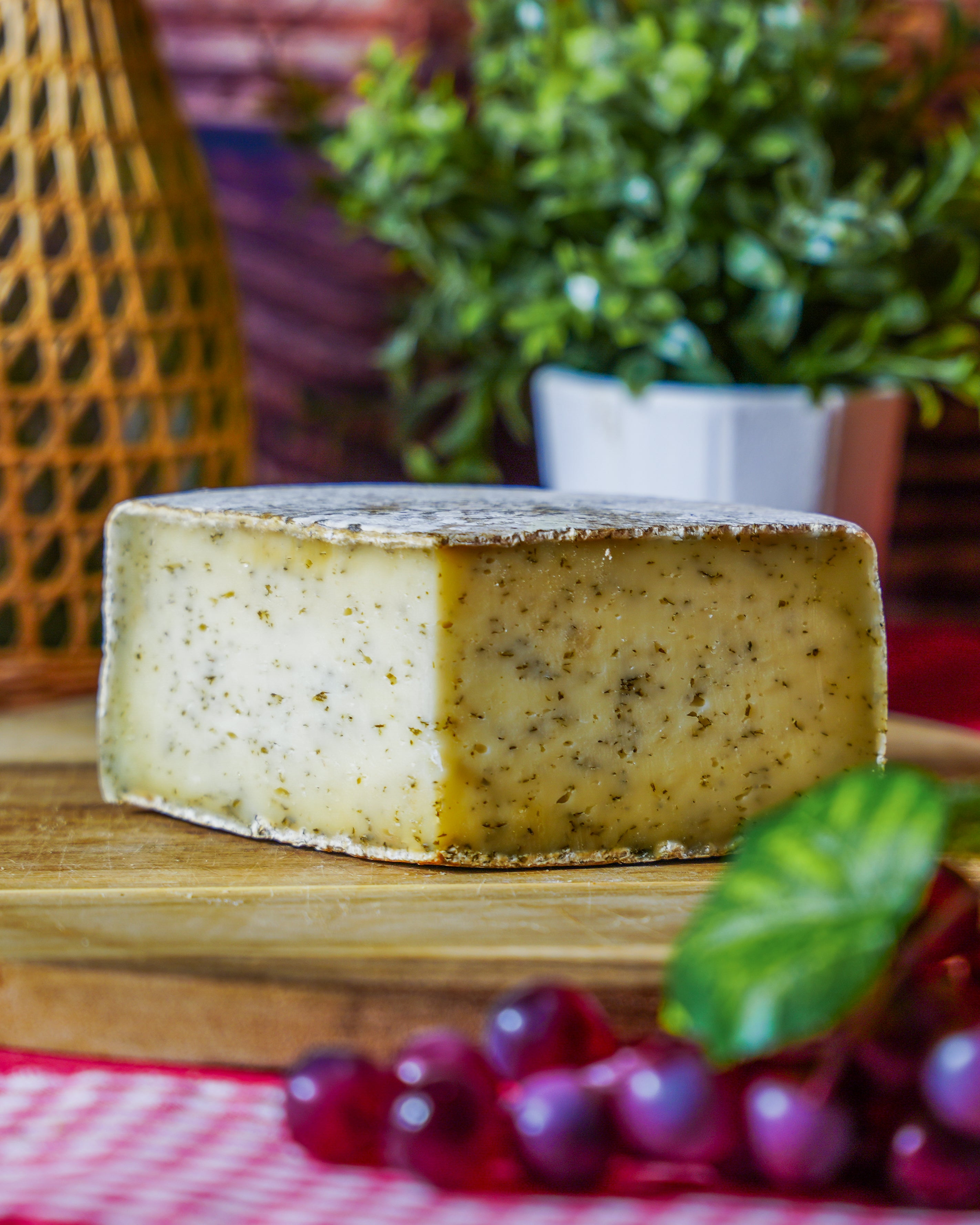 Tomme ail des ours