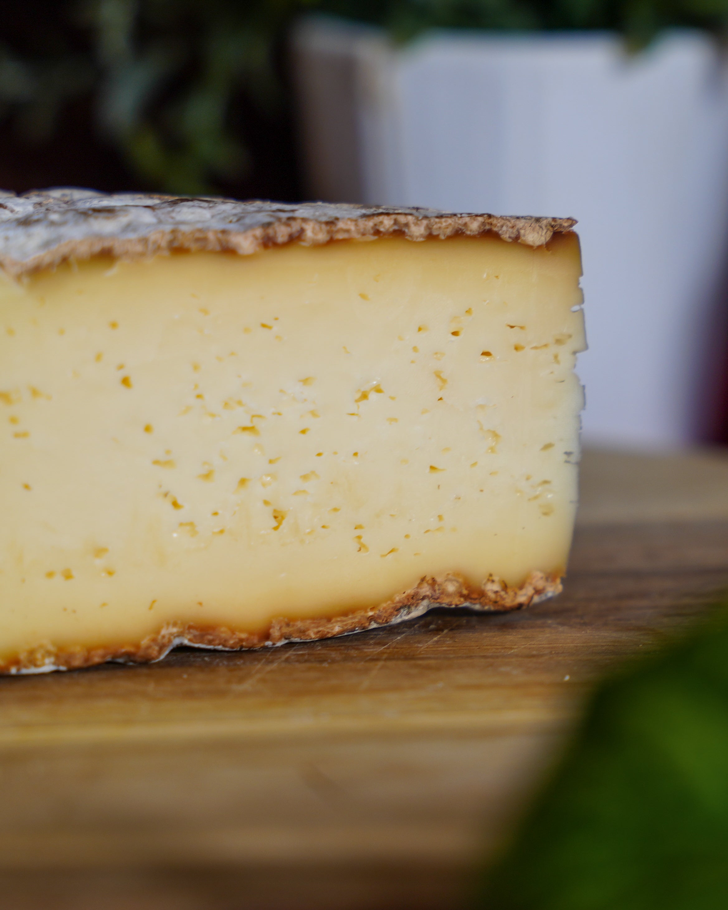 Tomme de savoie IGP
